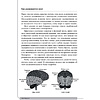 Книга "Как подготовить мозг ребенка к обучению: 52 стратегии для развития детского интеллекта", Джилл Стэмм - 6