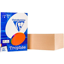 Бумага цветная "Trophée", А4, 100 листов, 80 г/м2, ассорти яркий