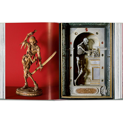 Книга на английском языке "Massimo Listri. Cabinet of Curiosities", Antonio Paolucci, Giulia ML Carciotto - 3