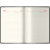Ежедневник датированный "xGold" на 2024 год, А5, 368 страниц, коричневый - 2