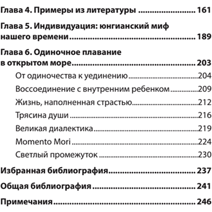 Книга "Перевал в середине пути. Как преодолеть кризис среднего возраста (#экопокет)", Джеймс Холлис - 3