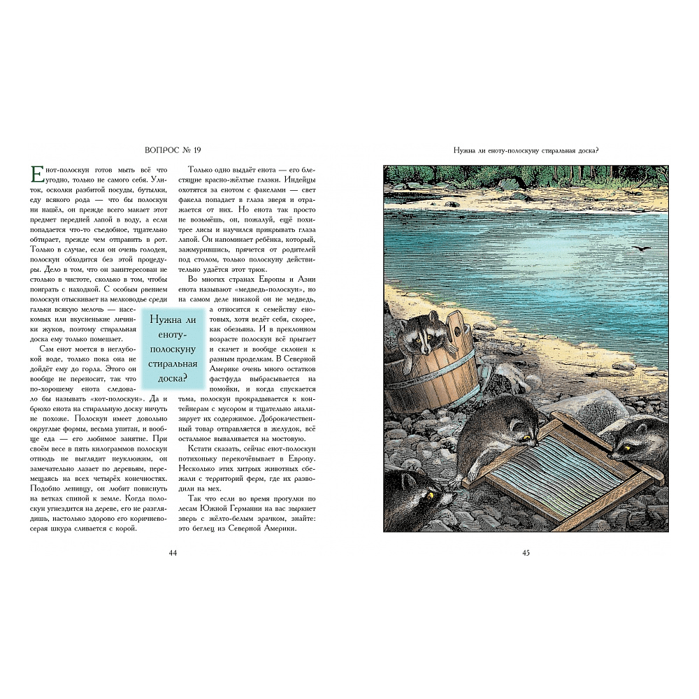 Книга "А звери чистят зубы?.. и другие вопросы директору зоопарка", Хеннинг Визнер, иллюстрации Гюнтера Маттеи - 3