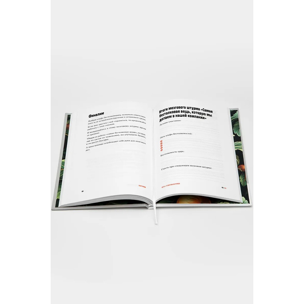 Книга "Поштурмим?", Игорь Манн, Дмитрий Турусин - 6