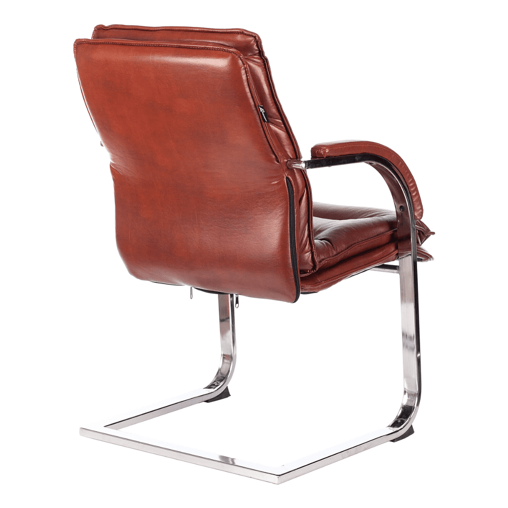 Кресло на полозьях "Бюрократ T-9927SL-LOW-V", натуральная кожа, светло-коричневый, металл хром - 3