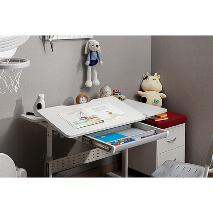 Стол Ergosmart E603 GREY, 1000х600х(540-760) мм - 10