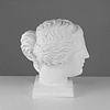 Гипсовая модель "Голова Венеры Милосской" - 2