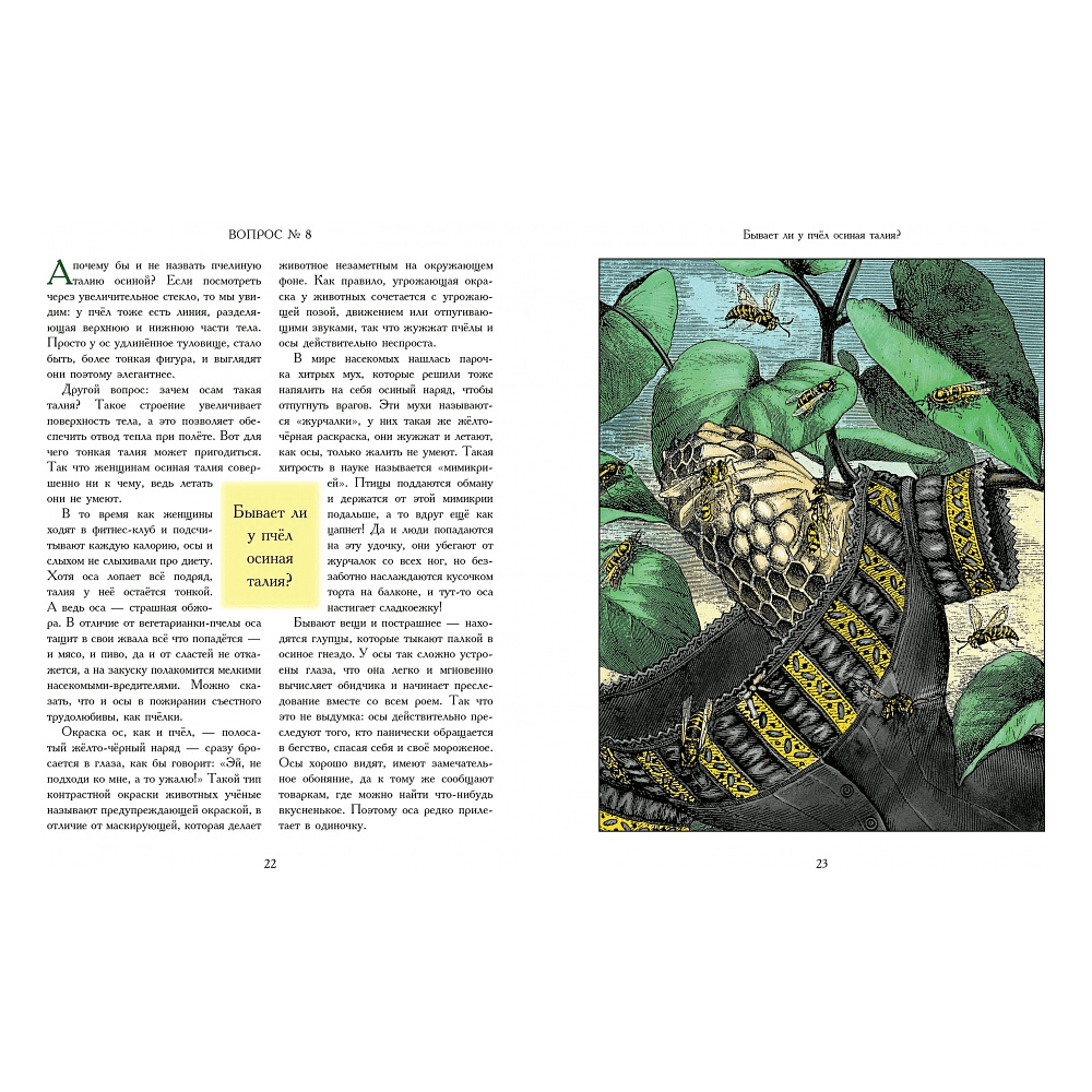 Книга "А звери чистят зубы?.. и другие вопросы директору зоопарка", Хеннинг Визнер, иллюстрации Гюнтера Маттеи - 2