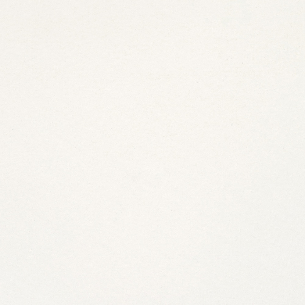 Краски акварельные Белые ночи, 100 белила цинковые, 10мл., туба - 3