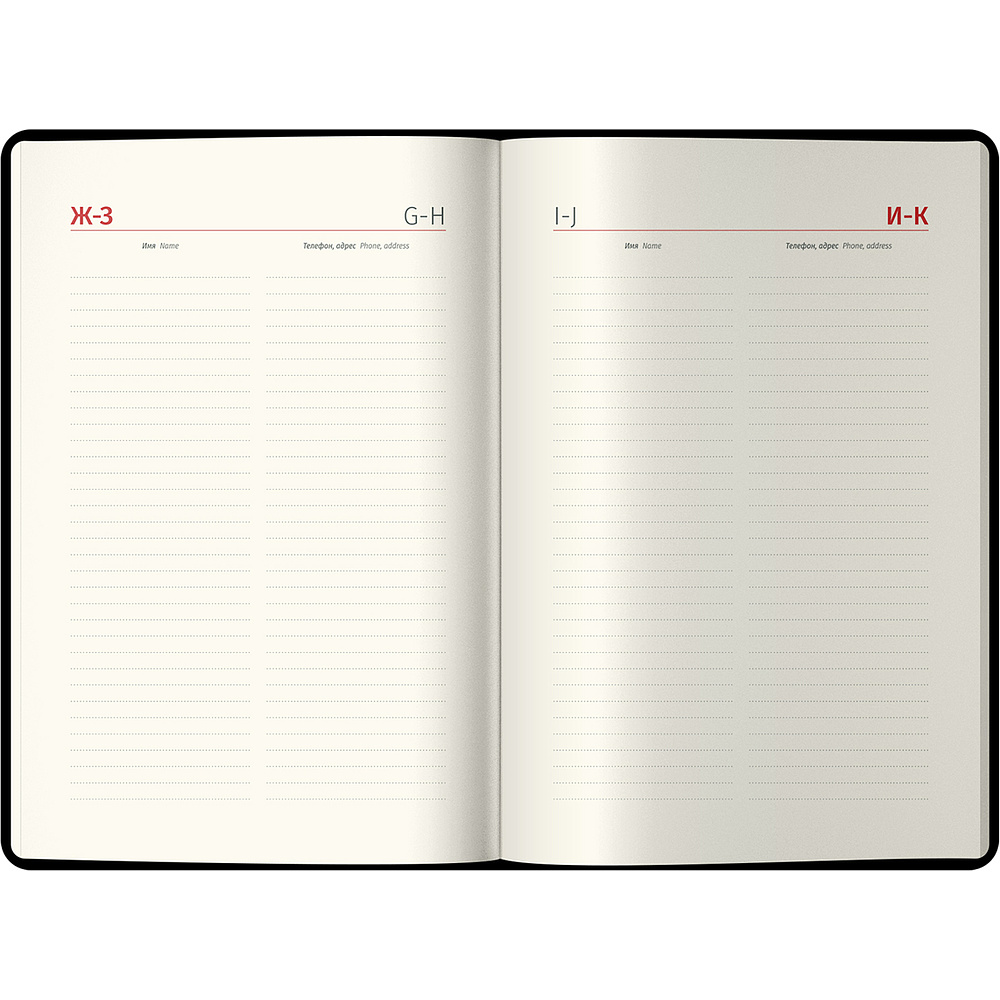 Ежедневник датированный "Silver Pristine" на 2024 год, А5, 368 страниц, черный - 2