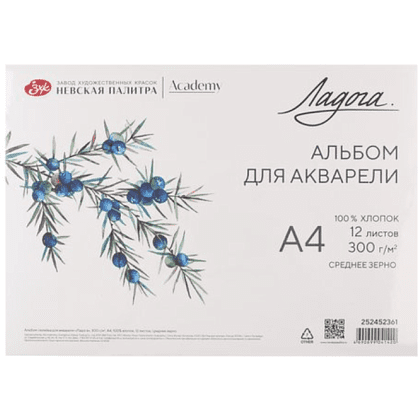 Альбом для рисования акварелью "Ладога", A4, 12 листов, склейка 