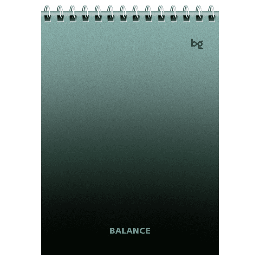 Блокнот "Моноколор. Баланс", А5, 40 листов, ассорти - 5