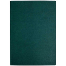 Ежедневник недатированный "Tucson Flex", А5, 272 страницы, зеленый