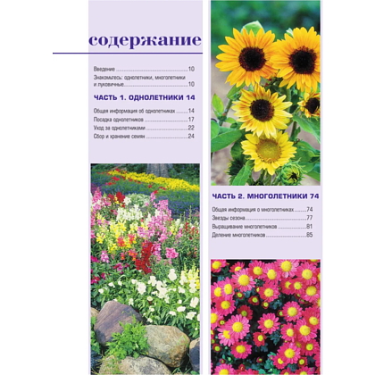 Книга "Библия садовых цветов. Однолетники, многолетники и луковичные. Советы по посадке, выращиванию и уходу" - 6