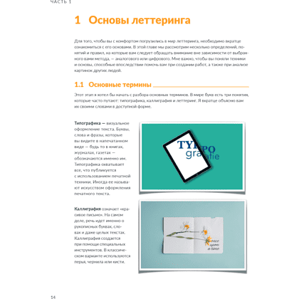 Книга "Типографика в Procreate. Полное руководство для начинающих дизайнеров", Паво Ивкович - 8