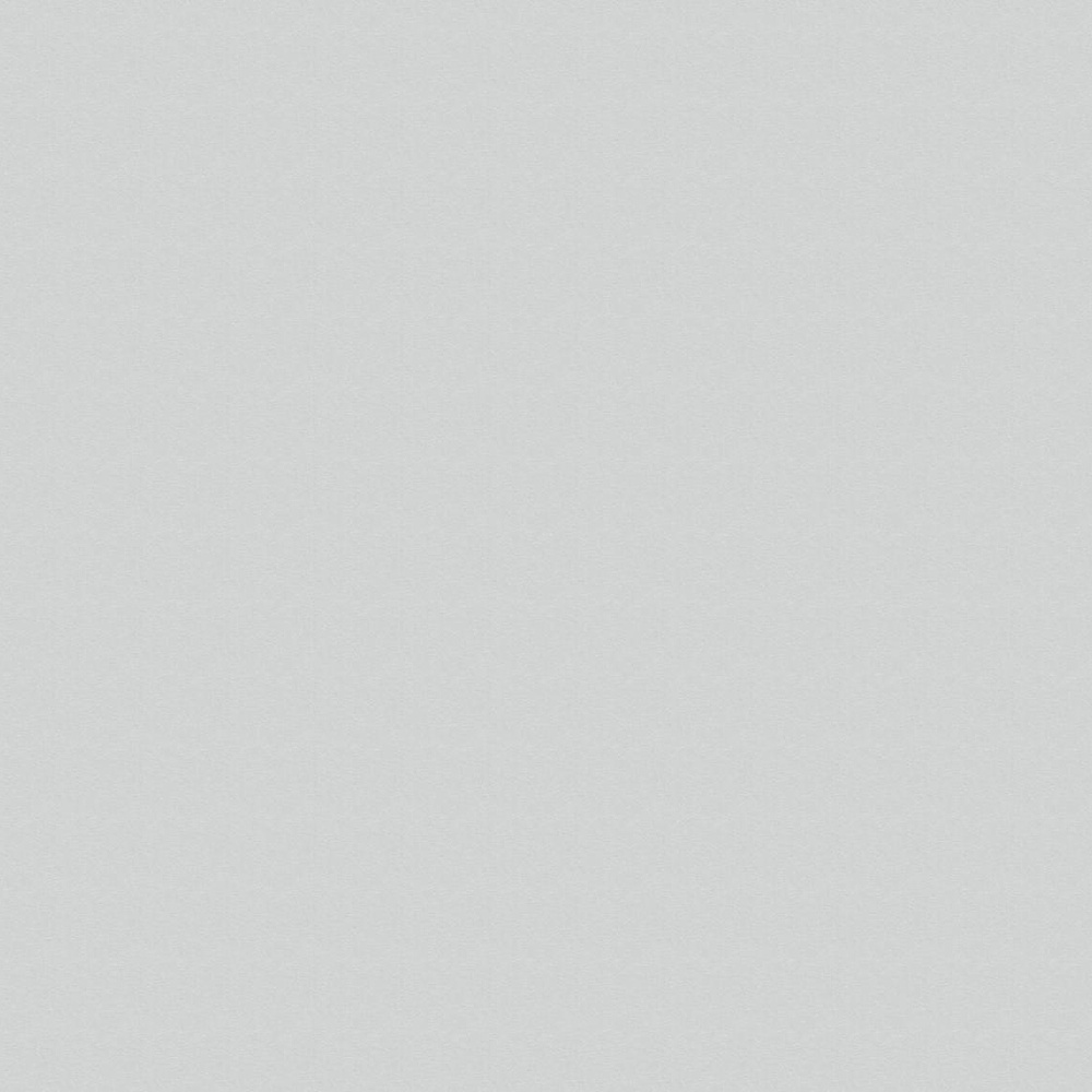 Столешница 1395x800x18, ЛДСП, 621pe, пепел