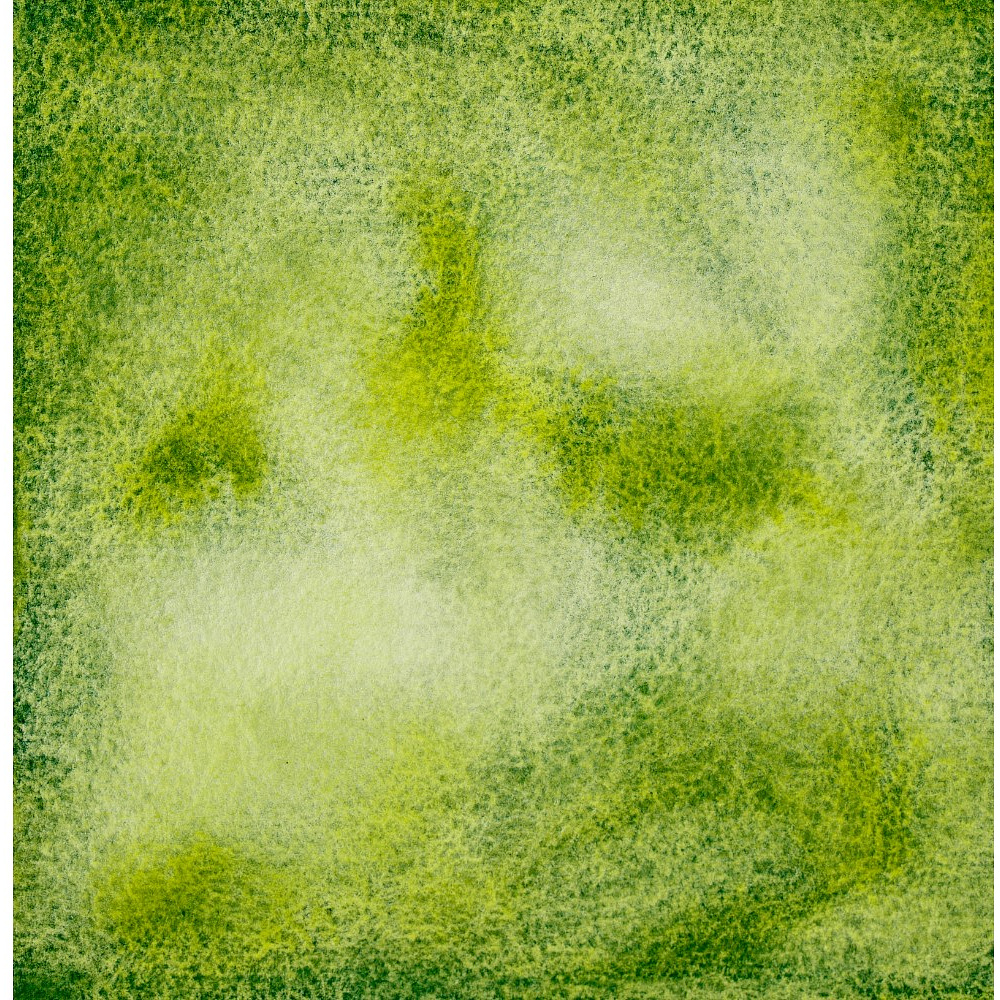 Краски акварельные "Белые ночи", 777 зеленая мечта, кювета - 4