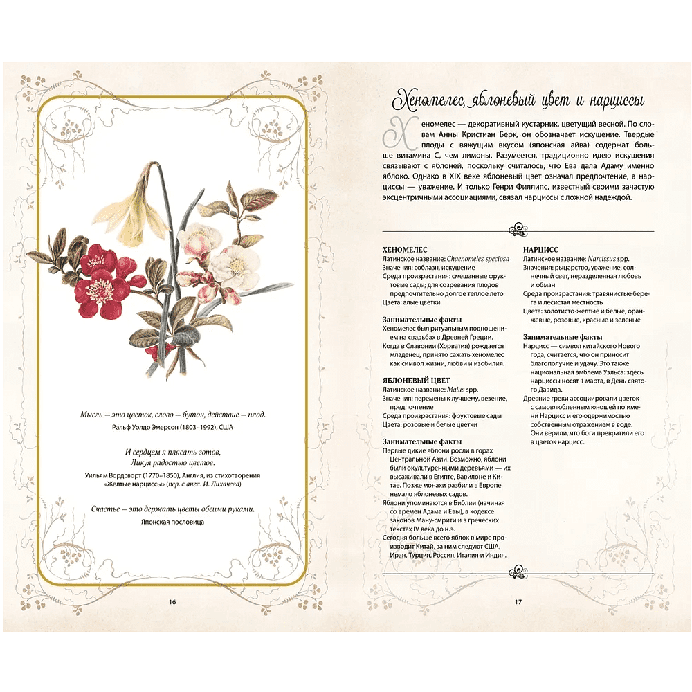 Книга "Тайный язык цветов", Джилл Дэвис, Джилл Сондерс - 4