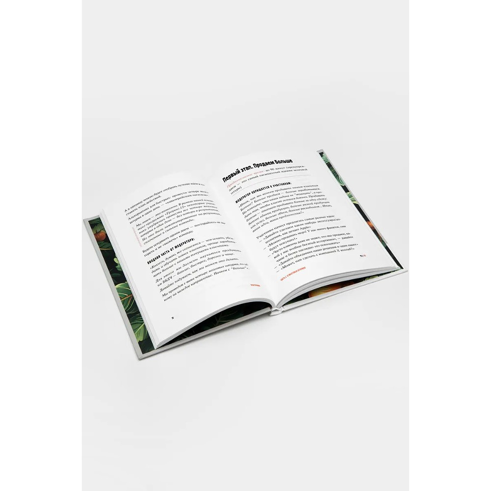 Книга "Поштурмим?", Игорь Манн, Дмитрий Турусин - 5