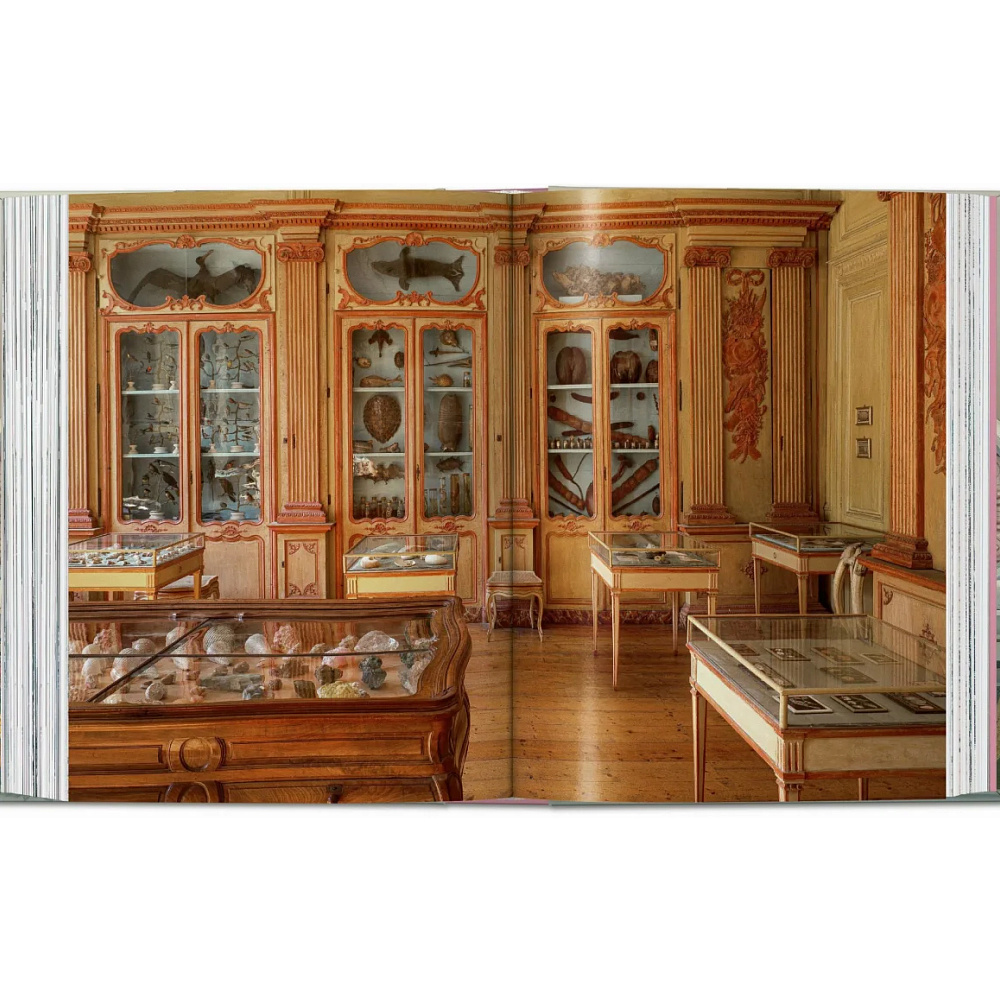 Книга на английском языке "Massimo Listri. Cabinet of Curiosities", Antonio Paolucci, Giulia ML Carciotto - 7