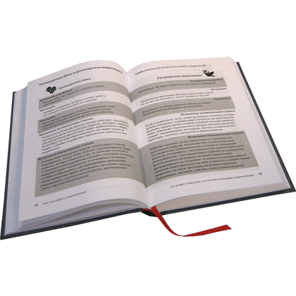 Книга "Как наказывать подчиненных. За что, для чего, каким образом", Александр Фридман - 9