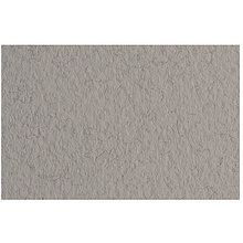 Бумага для пастели "Tiziano", 50x65 см, 160 г/м2, серый теплый