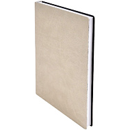 Ежедневник недатированный 