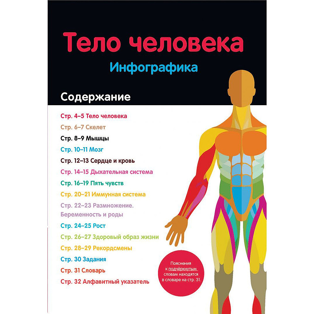 Книга "Тело человека: инфографика", Харриет Брандл, -50% - 2