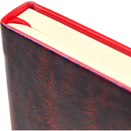 Скетчбук "Тишина", Валерий Шкарубо, 9x14 см, 80 листов, нелинованный, красный - 3