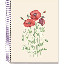 Тетрадь "Entredos Papaver Rhoeda"