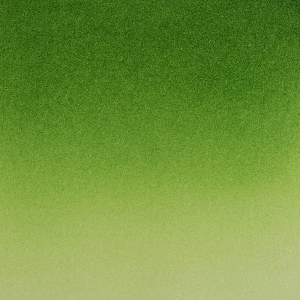 Краски акварельные "Белые ночи", 716 травяная зеленая, 10мл., туба - 3