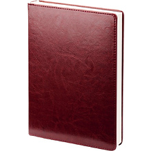 Ежедневник датированный "Berlin", А5, бордовый, 2026