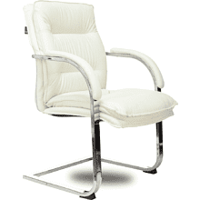 Кресло на полозьях "Бюрократ T-9927SL-LOW-V"