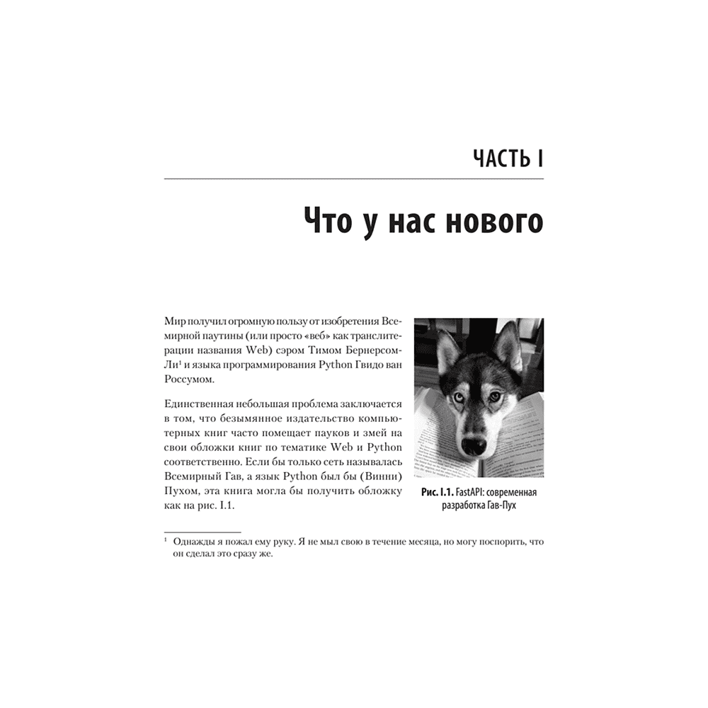 Книга "FastAPI: веб-разработка на Python", Билл Любанович - 10