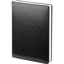 Ежедневник датированный "Berlin", А5, черный, 2026