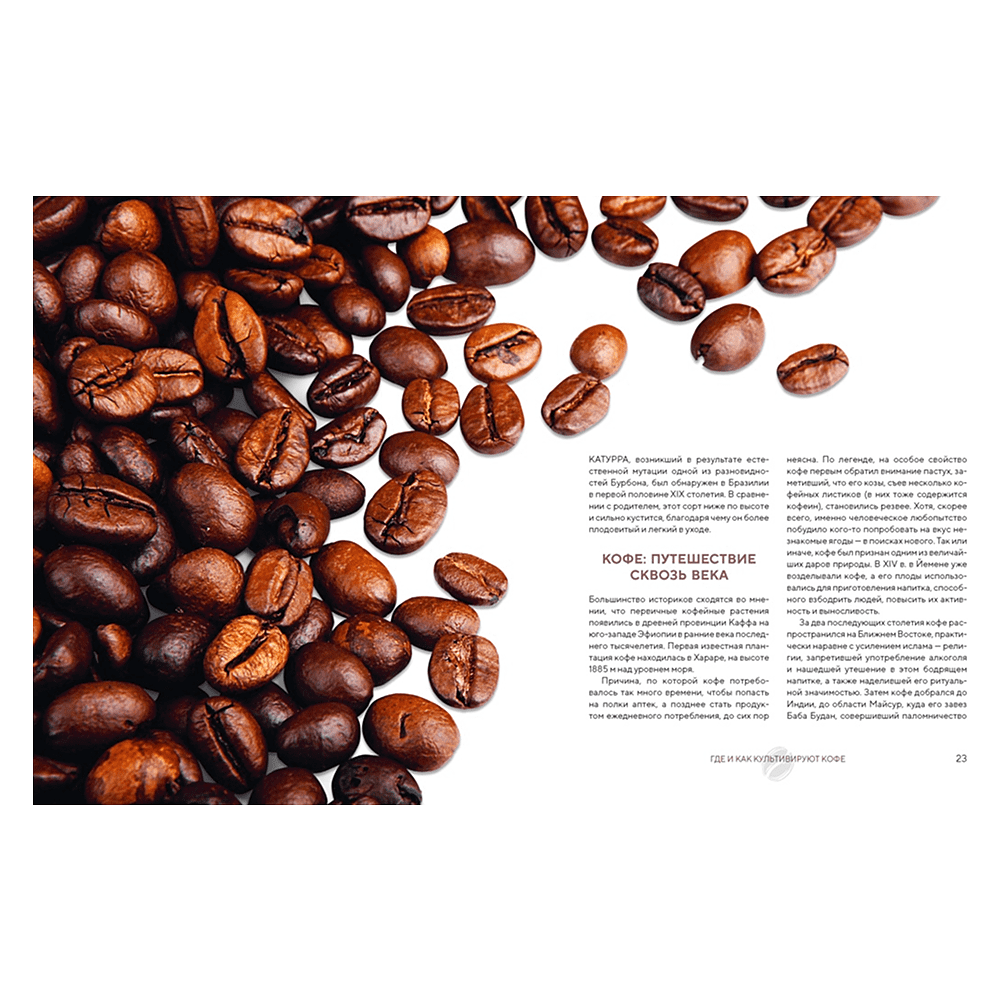Книга "Философия кофе. От зерна до идеального напитка", Луиджи Оделло, Джованни Руджиери, Фабио Петрони - 6