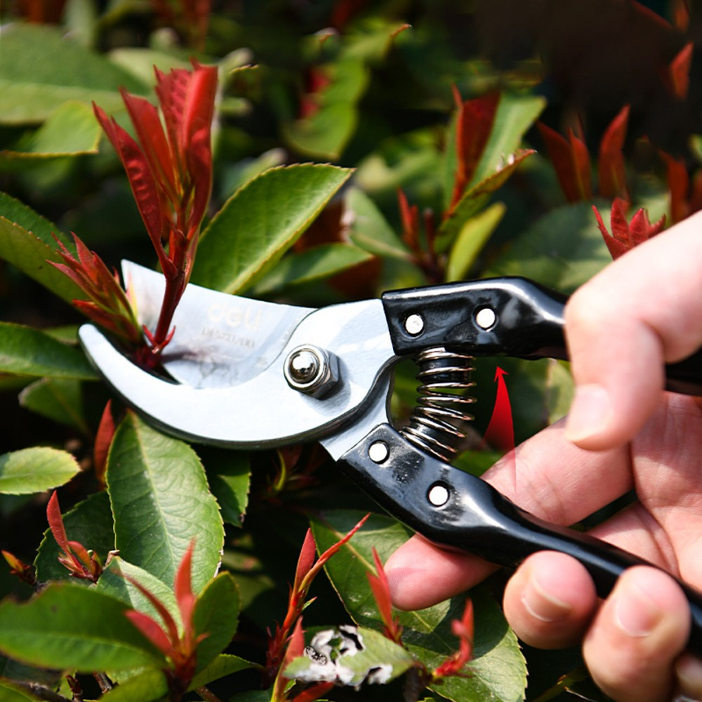 Секатор садовый "Deli" EDL580200, 205 мм, черный, серебристый - 4