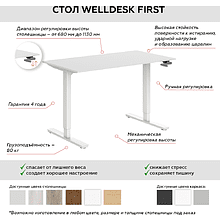 Комплект WellDesk First (регулируемый по высоте каркас арт. 9032533 и столешница арт. 9042845)