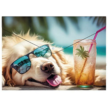 Папка-конверт на кнопке "Chillout dog", А5