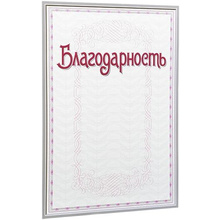 Благодарность С49, А4, 250 г/м2