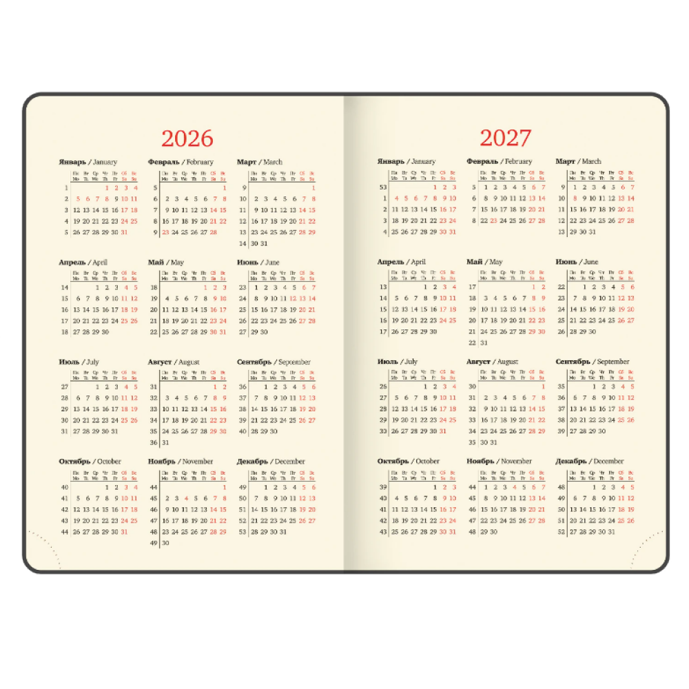 Еженедельник датированный "Accent", А5, 336 страниц, синий, 2026 - 5