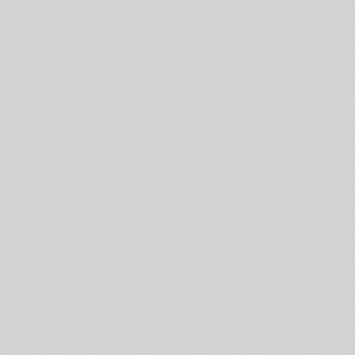 Столешница 1395x800x18, ЛДСП, 621pe, пепел