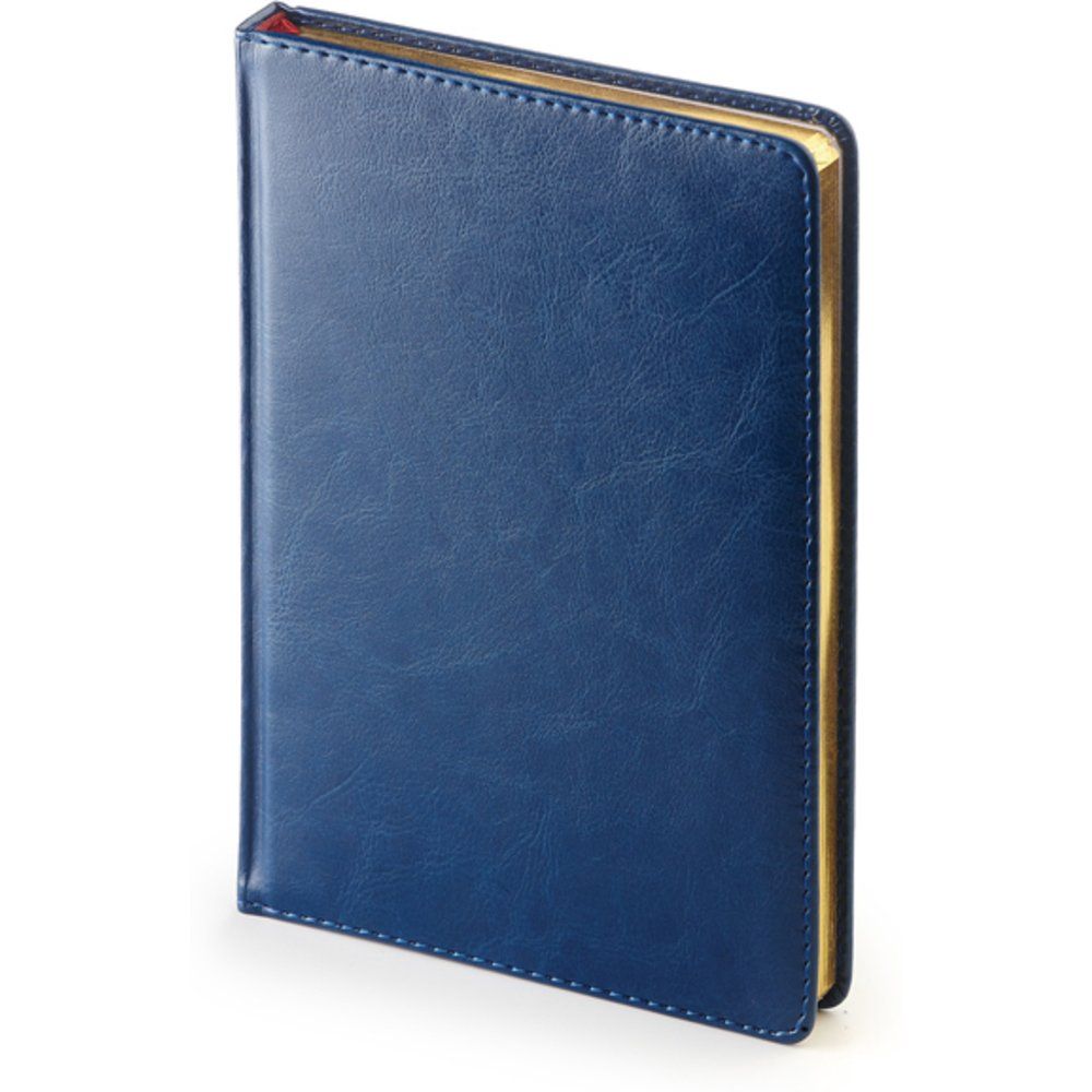 Ежедневник недатированный 