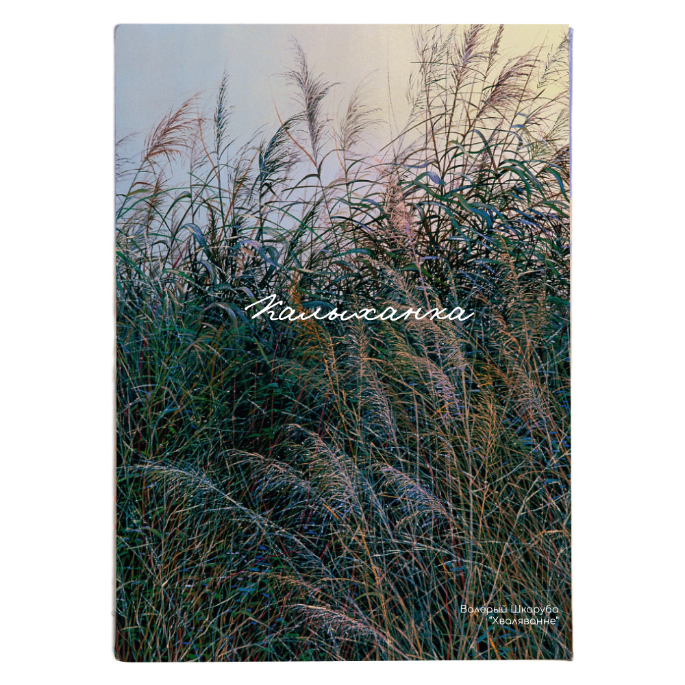Обложка для паспорта "Волнение", Валерий Шкарубо