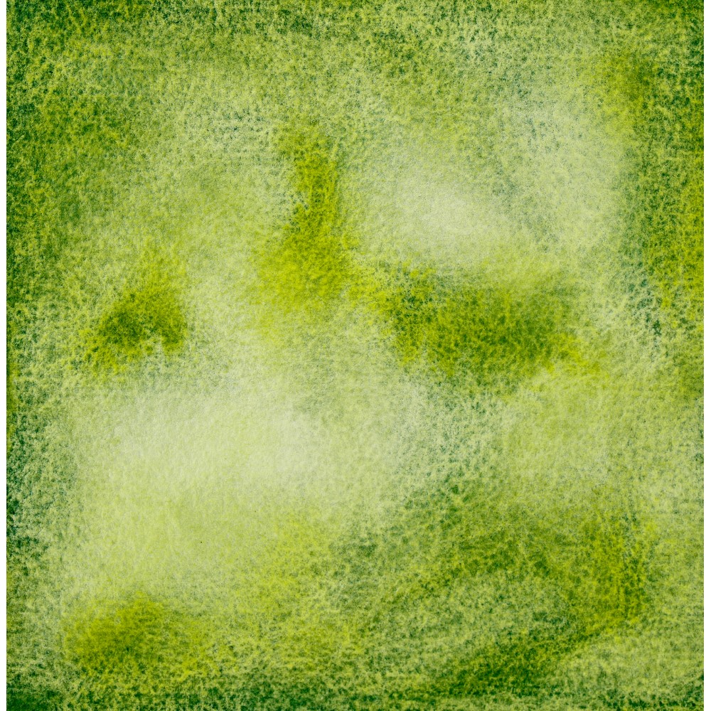 Краски акварельные "Белые ночи", 777 зеленая мечта, кювета - 4