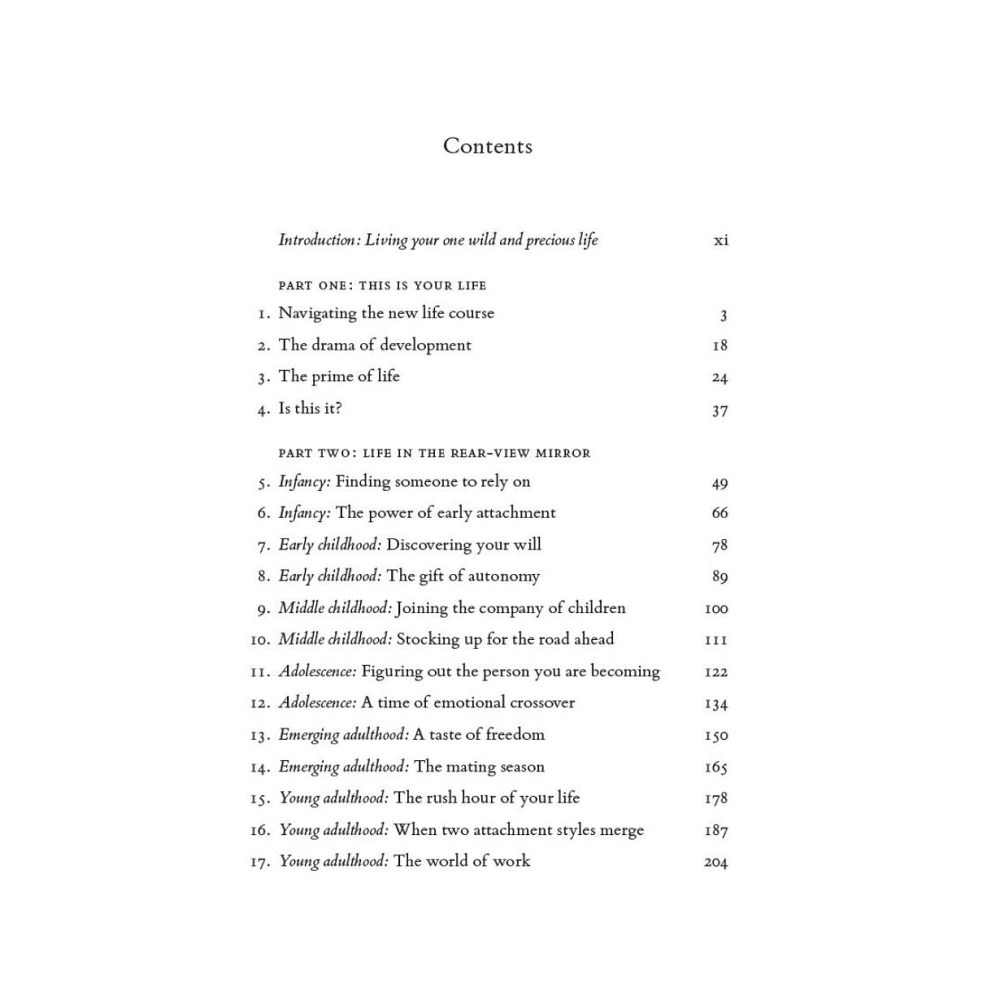 Книга на английском языке "Your One Wild and Precious Life", Maureen Gaffney