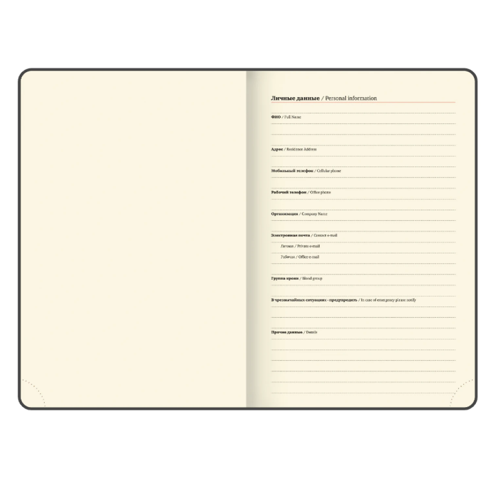 Еженедельник датированный "Accent", А5, 336 страниц, синий, 2026 - 4