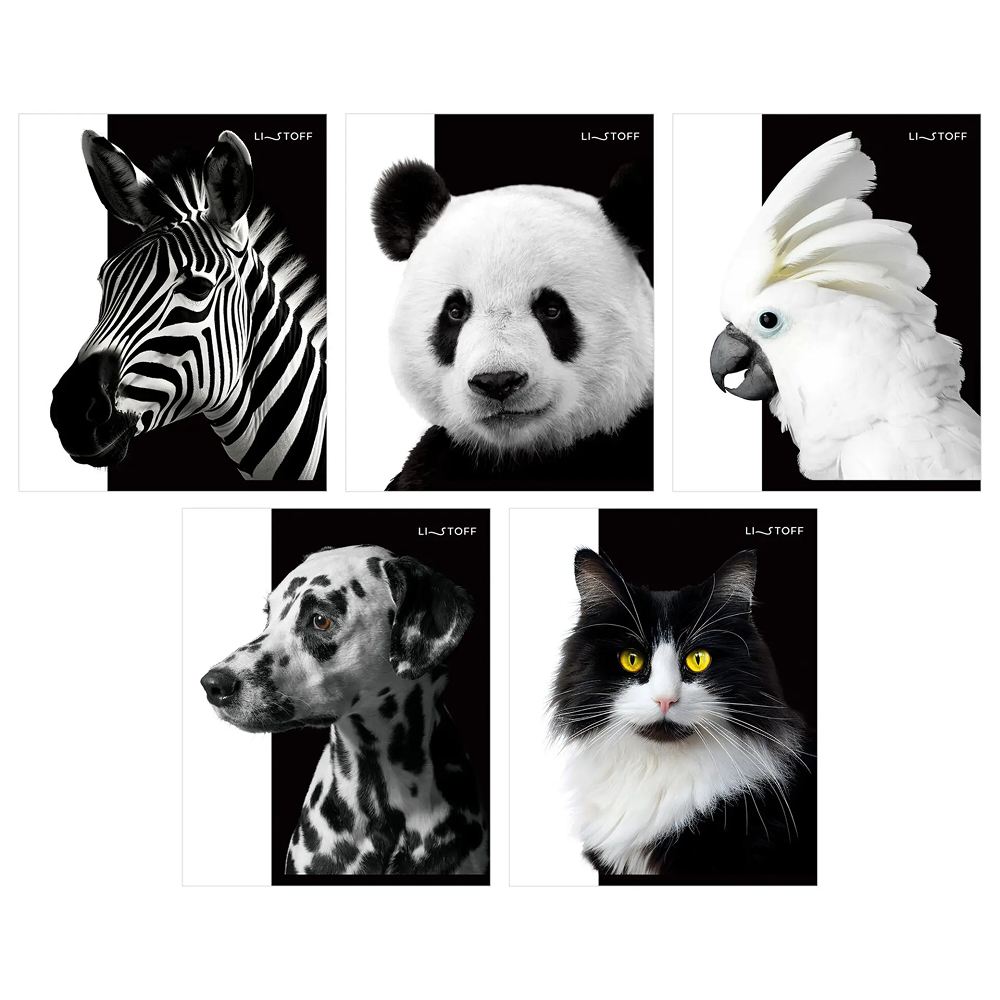 Тетрадь "Черно-белые животные", А5, 48 листов, клетка, скоба сбоку, ассорти