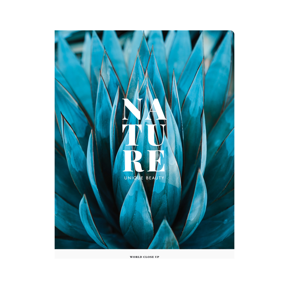 Тетрадь "Nature", А4, 48 листов, клетка, ассорти - 2