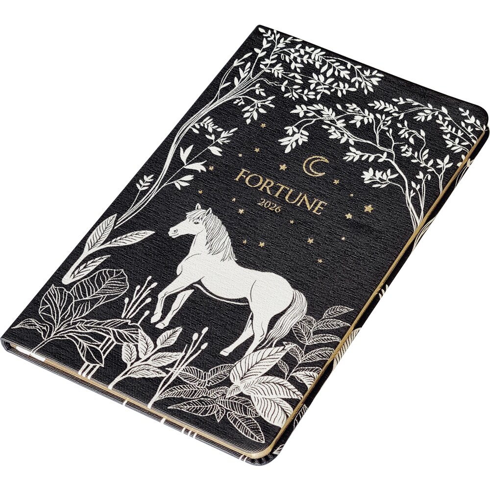 Ежедневник датированный "Fortune", А5, 128 страниц, черный, 2026