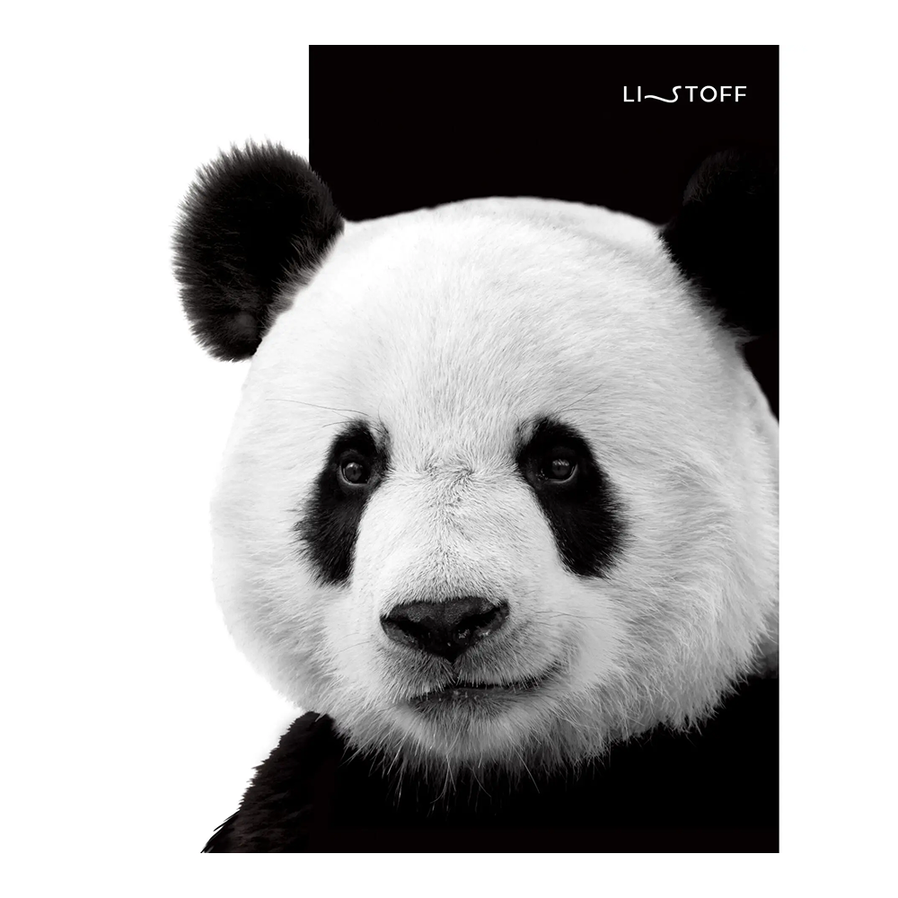 Тетрадь "Черно-белые животные", А5, 48 листов, клетка, скоба сбоку, ассорти